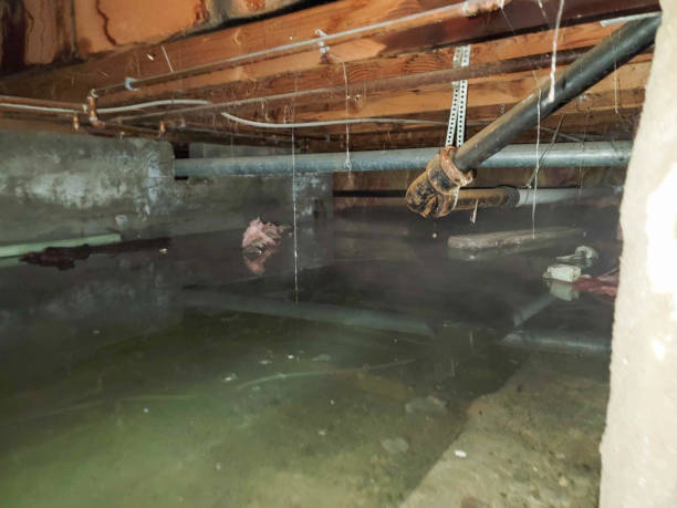 Best Water damage restoration near me  in Bude, MS