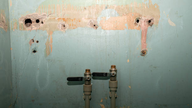 Best Water damage contractors near me  in Bude, MS