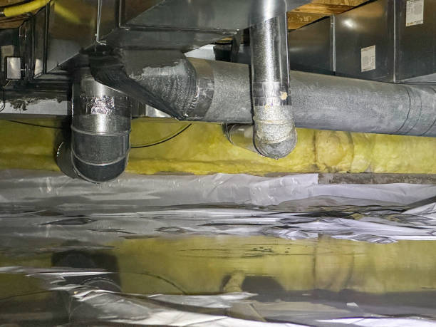 Best Water damage cleanup near me  in Bude, MS